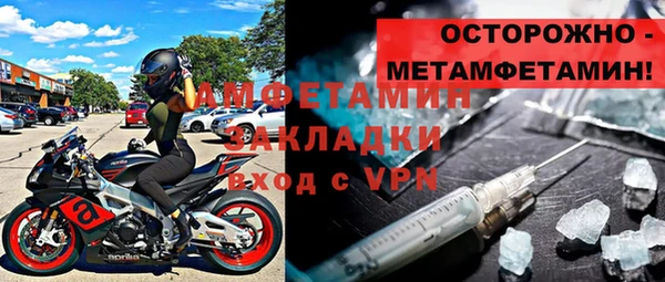 стаф Алзамай