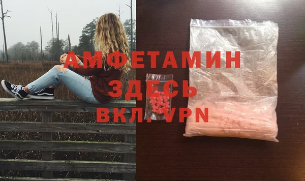 стаф Алзамай