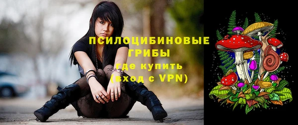 apvp Алексеевка