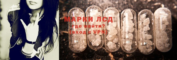 бошки Семилуки