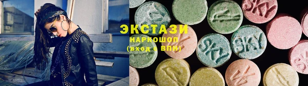 стаф Алзамай