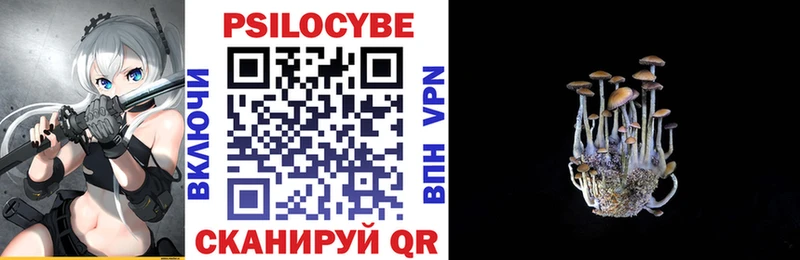 купить   Похвистнево  Псилоцибиновые грибы Psilocybe 