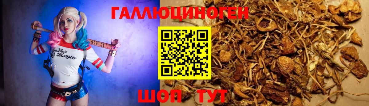 Галлюциногенные грибы мухоморы Похвистнево